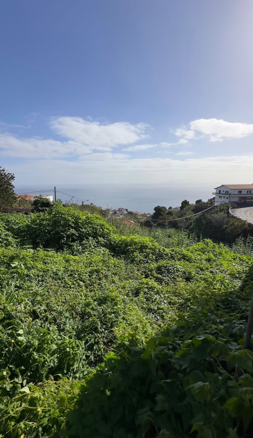 The plot, with an ocean view